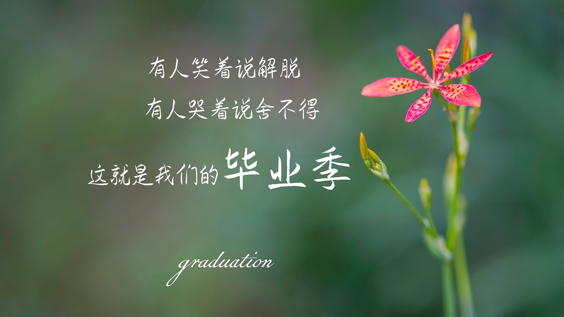 梅西的隐形球衣，2026世界杯B组，泰国VS阿联酋背后的神之一手